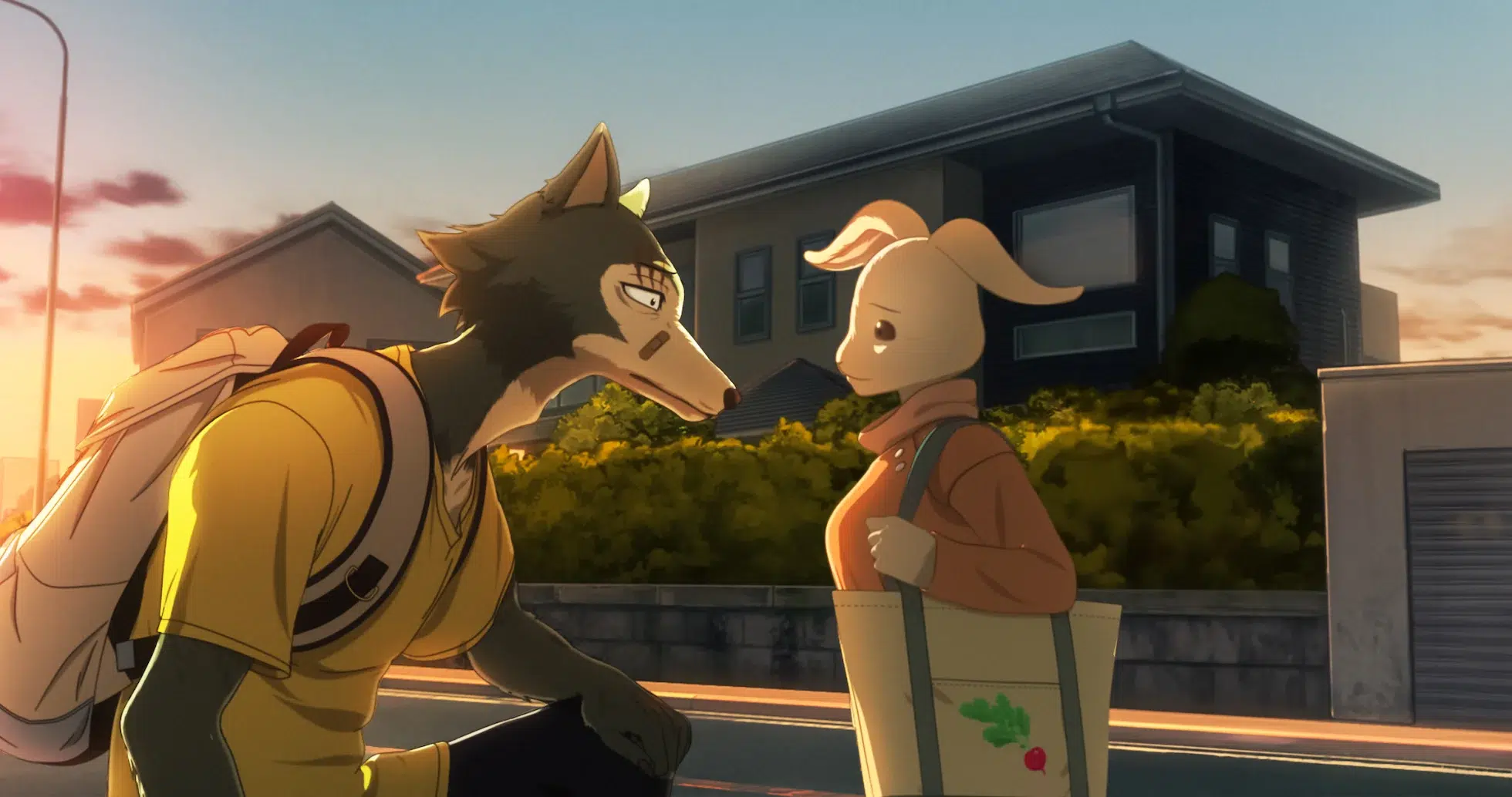 Beastars Merch: Create a Wild Look with These Must-Have Items